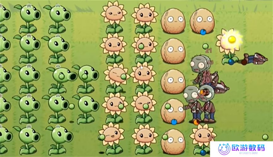 PVZLG