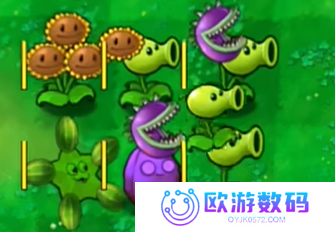 植物大战僵尸嫁接版
