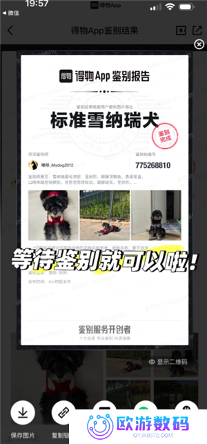 得物宠物鉴别怎么弄 得物宠物鉴别一般多久出接货通知