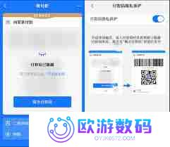 设置付款码隐私保护