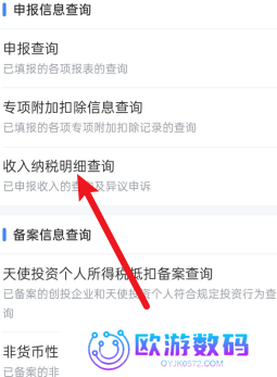 个人所得税app如何查询年收入纳税明细