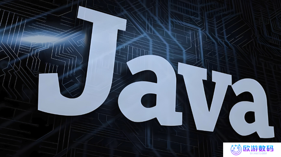 java国外资源分享网站排行榜前十是哪些？（2025权威排名）