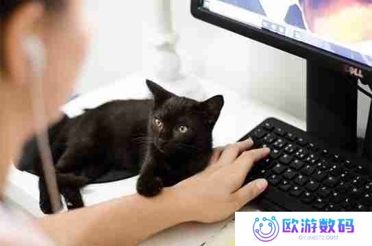 电脑录音操作方法详解，记录美好声音！