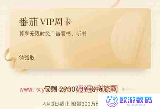 番茄小说vip激活码分享2024
